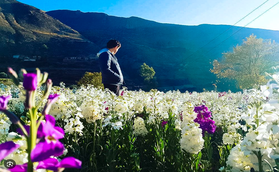 Agencia Turismo Normandie